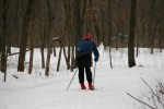 Nature Center, 11 single cross country skier