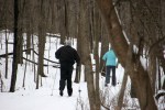 Nature Center, 5 cross country skiers