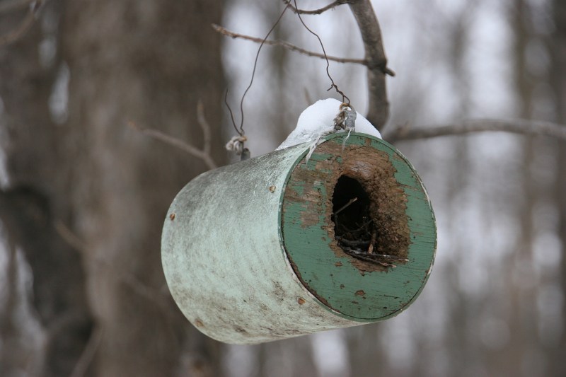 Nature Center, 8 green birdhouse