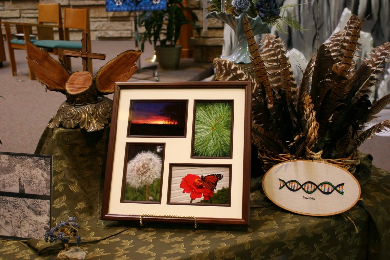 More artistic examples of God's Creation.