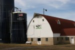 Rural Minnesota, 110 barn & Harverstore&nbsp;silos