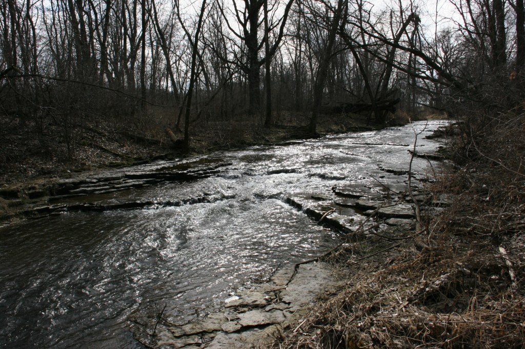 Lovely Shingle Creek.