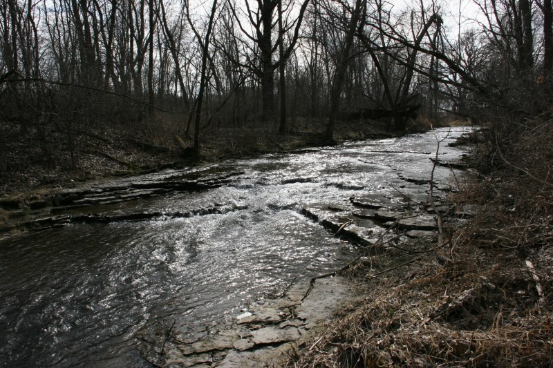 Lovely Shingle Creek.