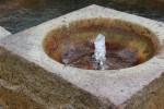 Mineral Springs Park, 62 fountain&nbsp;close-up