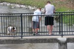 Mineral Springs Park, 95&nbsp;fishing
