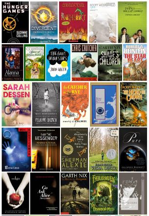 This graphic comes from the gofundme page.