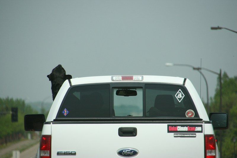 The light changes and, oh, the exuberance of all that rushing air.