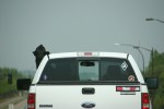 Dog with head out of pick-up, 46