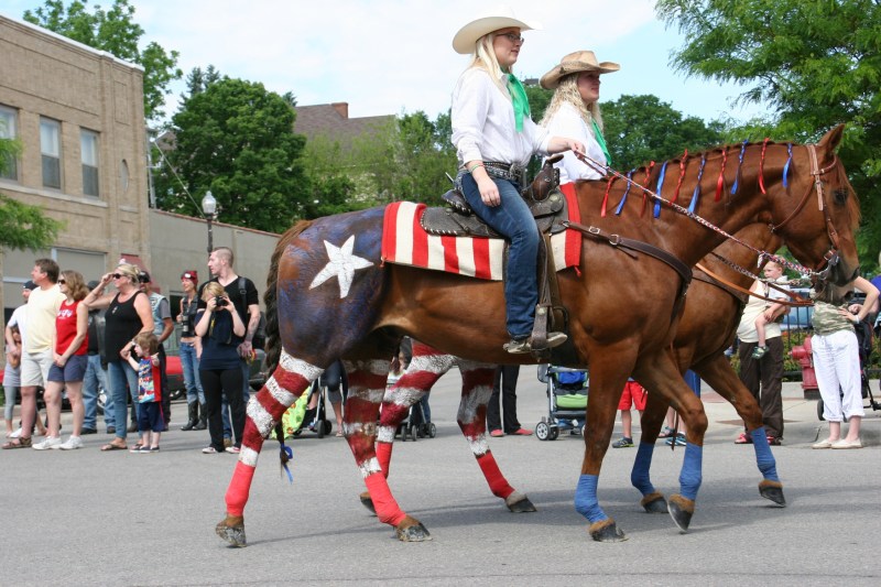Parade, 56 patriotic horses