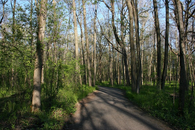 River Bend Nature Center, 27 trail through woods