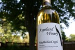 Aspelund Winery & Peony Gardens, 187 Neighborhood Apple&nbsp;wine