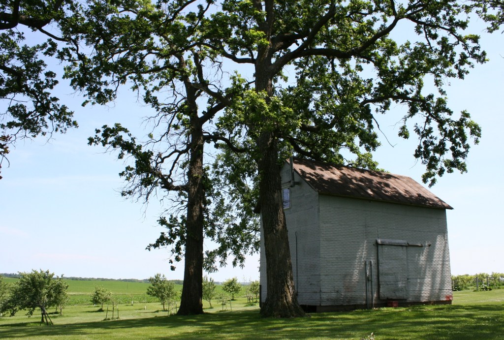 My favorite old building on the farm site.