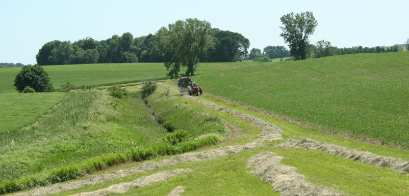 Baling hay, 17 southern Minnesota