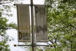 Davis Square, 365&nbsp;banners