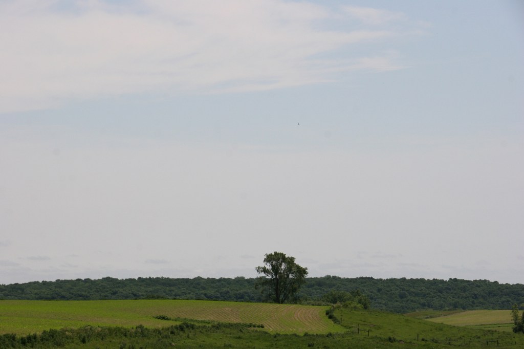 The area around Aspelund is beautiful Minnesota countryside with a mix of fields and woods, flatland and hills.