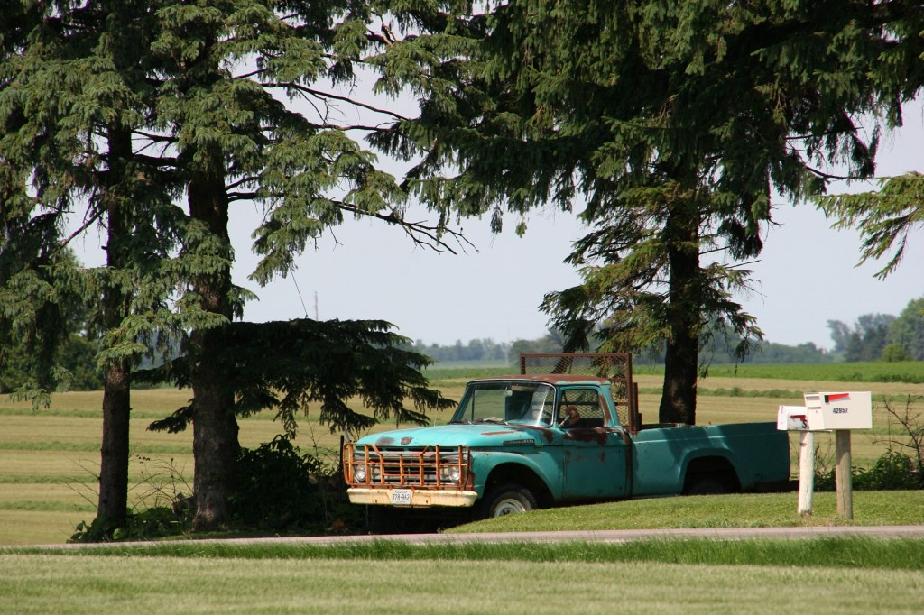 Photographed in Aspelund.