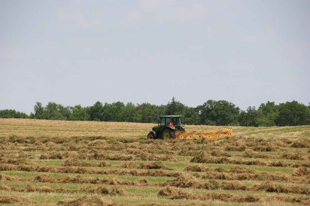 Making hay on the outskirts of Aspelund.