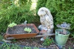 Knish garden, 94 Peter Rabbit&nbsp;art