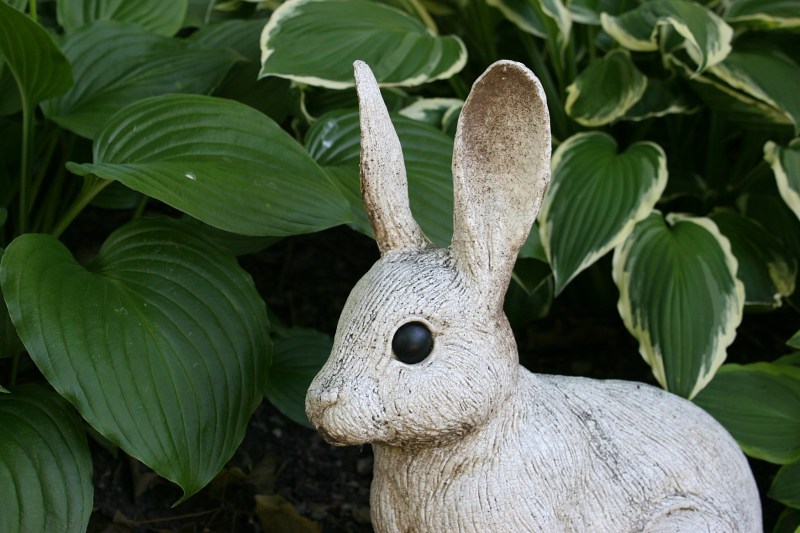 Another of my favorite sculptures tucked by the hosta.