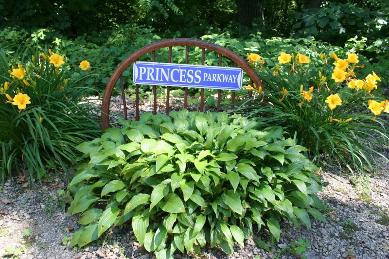 Staged along the edge of the driveway/parking area.