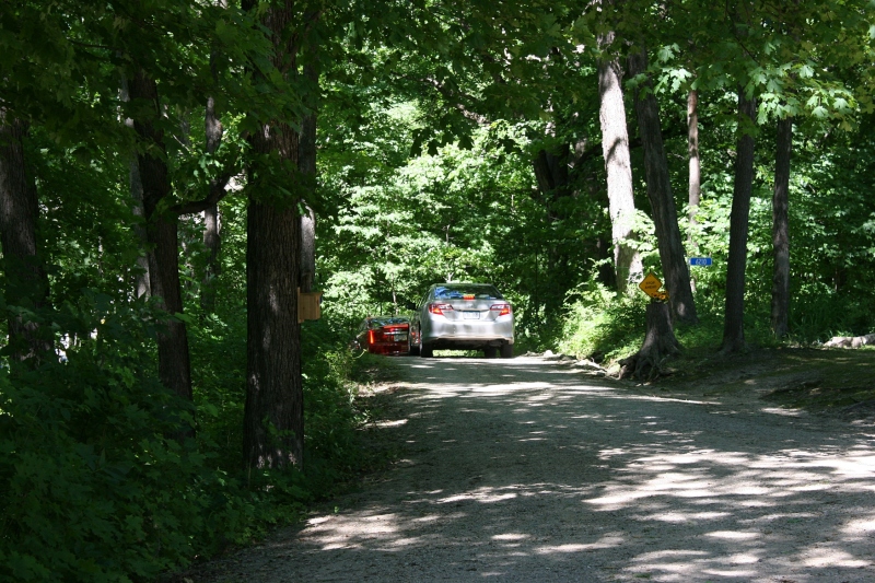 Vehicles exit the McAdam property along a narrow wooded lane.