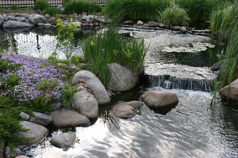 Sibley Farm includes a water feature complete with goldfish.