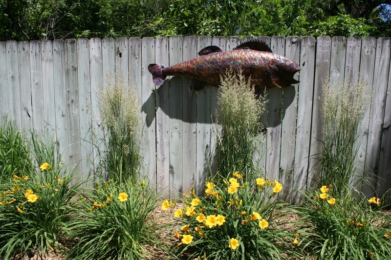 Mike's copper walleye.