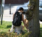 Snapshots, 334 watering dog in Meford,&nbsp;MA.