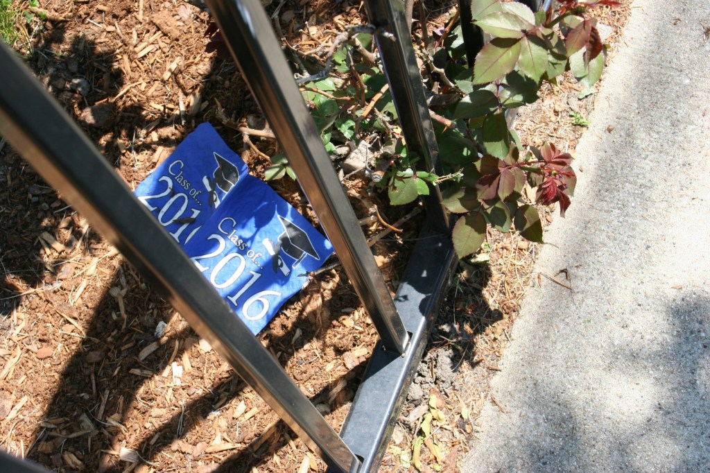 Snapshots, 337 grad napkin on ground Somerville, MA.