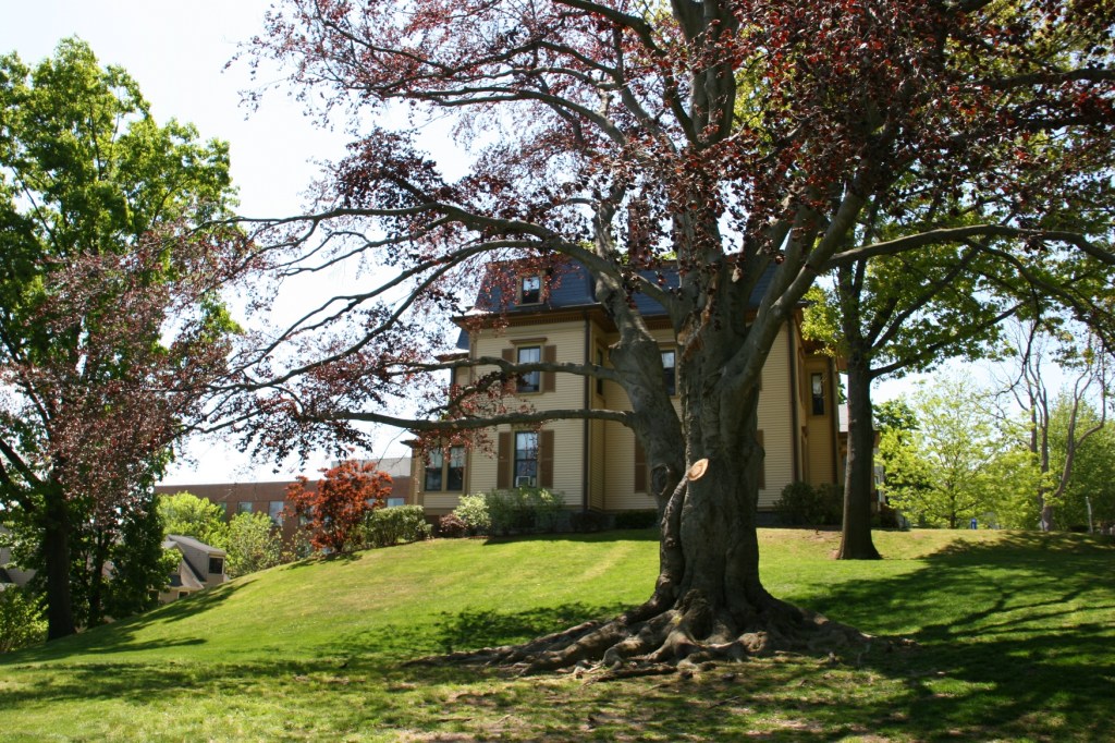 Snapshots, 346 house on hill Medford, Ma.