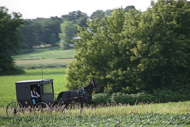 All motion, our van traveling at 70 mph and the Amish buggy much slower.