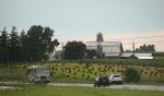 Amish, 226 shocks in Amish field along I90 by St.&nbsp;Charles