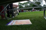 Band concert, 76 art under picnic table