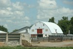 Barn, 145 white barn &&nbsp;cow