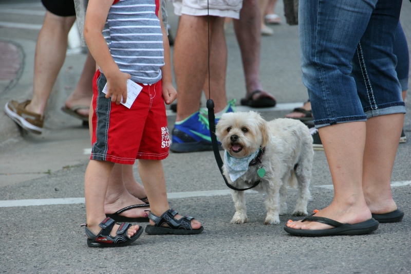 Faribault Downtown Car Cruise Nights draw all ages and some dogs, too. I'd like to see some family-oriented events added, perhaps a scavenger hunt that focuses on the historic building exteriors.