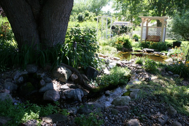 Shade loving plants thrive under a tree next to a stream.