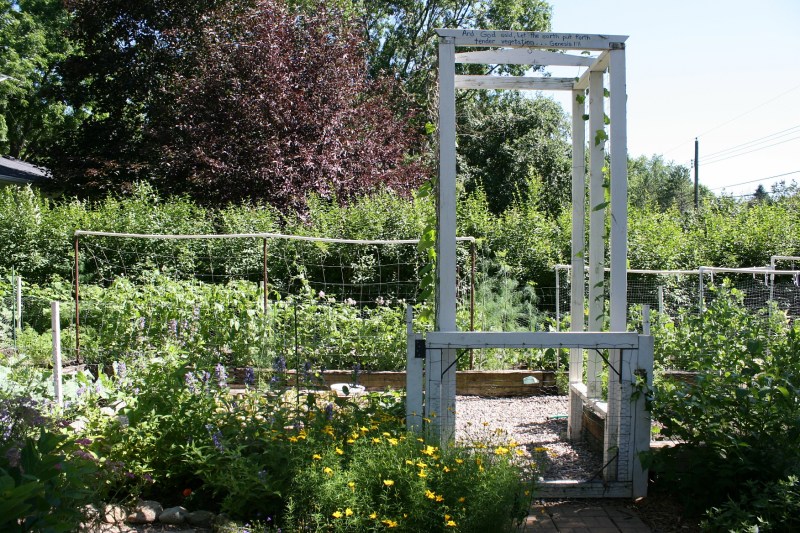 Lawson garden, 138 garden