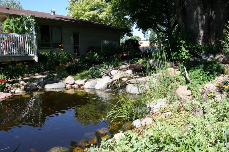 A stream/waterfall/pond is a backyard focal point.