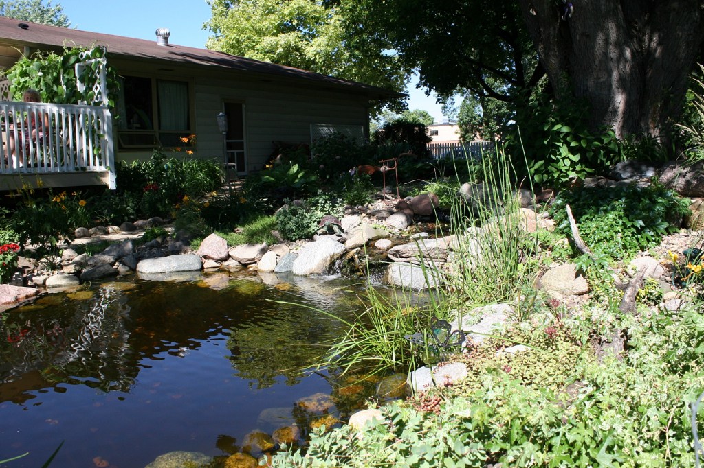 A stream/waterfall/pond is a backyard focal point.