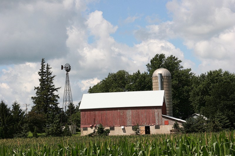 A farm site just east of Nerstrand.