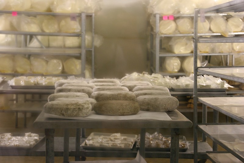 Again, through a window, visitors view aging cheese wheels.