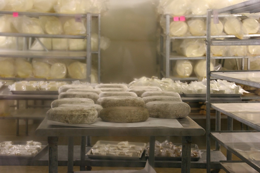 Again, through a window, visitors view aging cheese wheels.