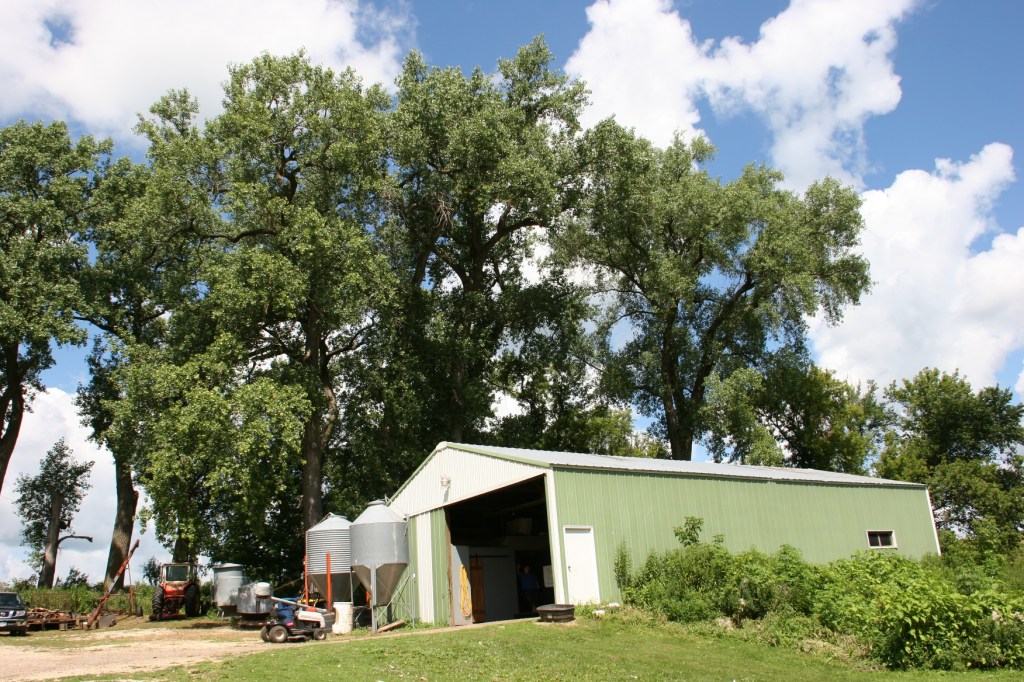 The farm store is located in a closed corner of the pole shed which also houses pigs and fowl.