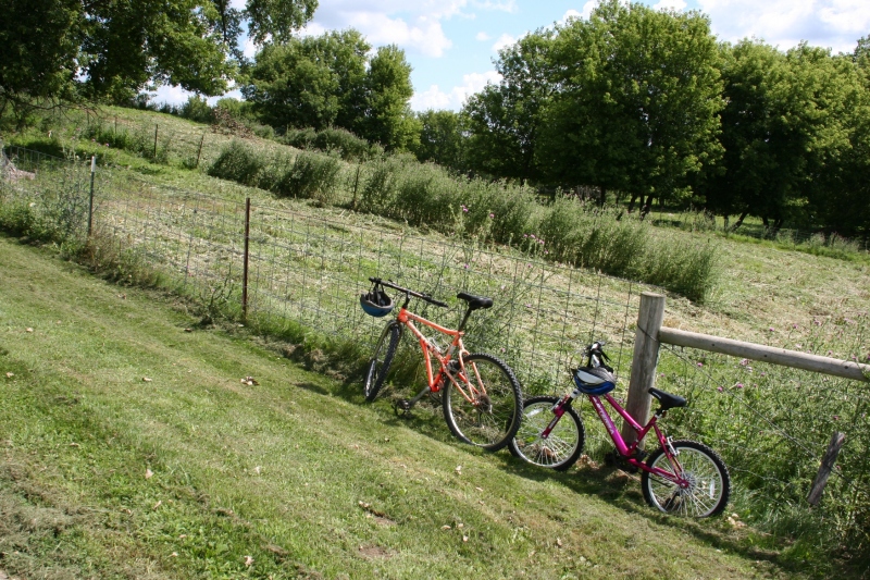 Simple Harvest Organic Farm, 81 bikes