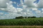 Sky in sw MN, 28 full corn field, farm site and cloudy&nbsp;sky