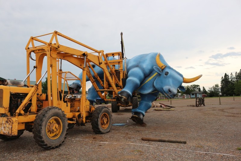 Reeds Backhoe Service worked to upright Babe. Photo by Adam Rademacher and courtesy of Paul Bunyan Land.