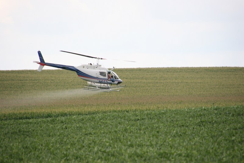 Helicopter spraying, 113