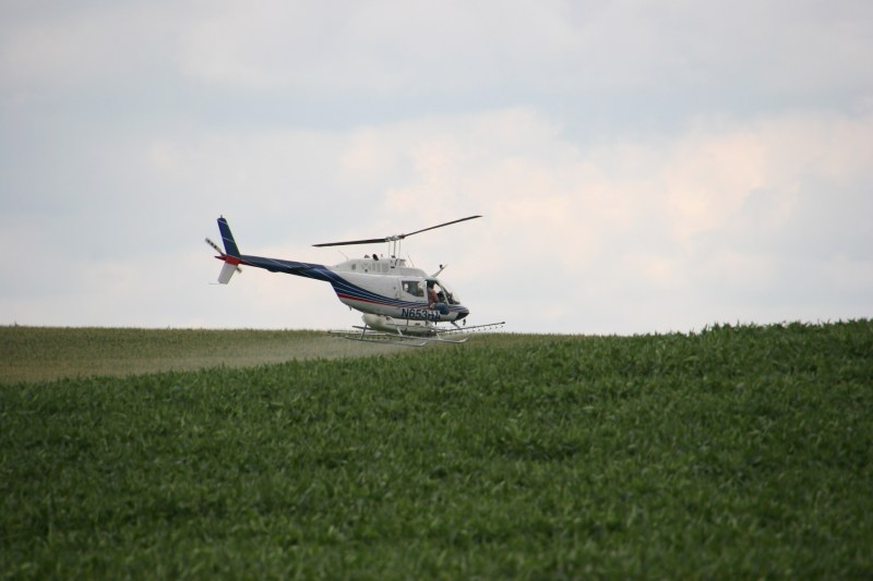 Helicopter spraying, 115