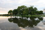 faribault-flood-21-trees-reflected-on-cannon-river