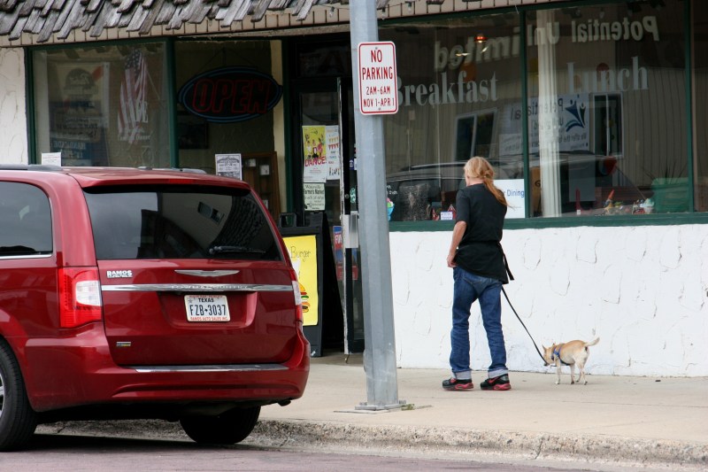 Just walking the dog...